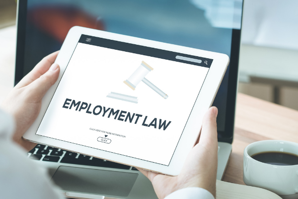 Employment Lawyer